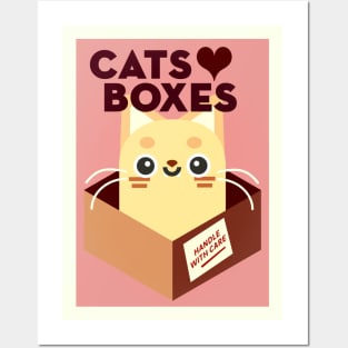 Cats love boxes Posters and Art